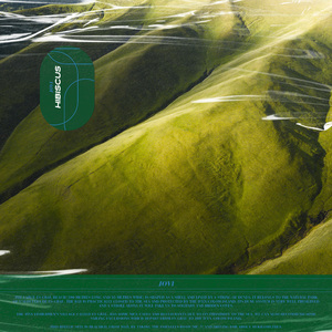 欧美黑人淫秽A片
